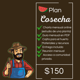 Guías PDF y estudio de plantas para huertos caseros