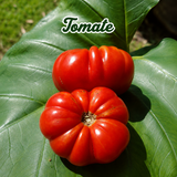 Combo de berenjena, tomate y cebollín para huerto casero