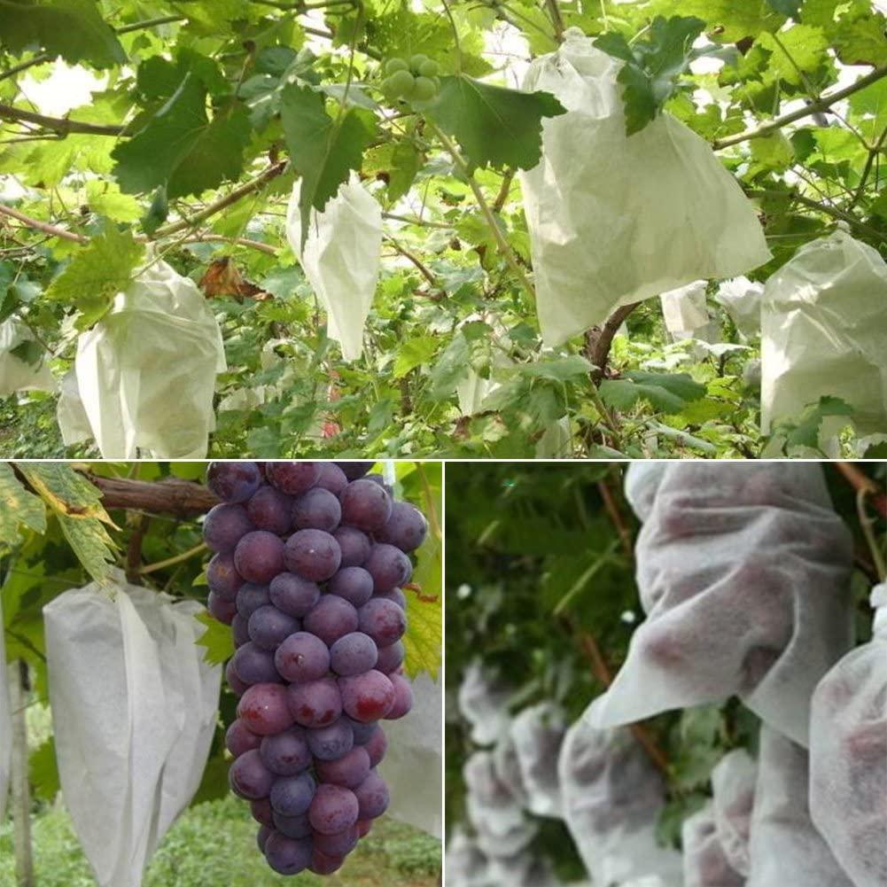 Bolsas Ecológicas para Control de Plagas