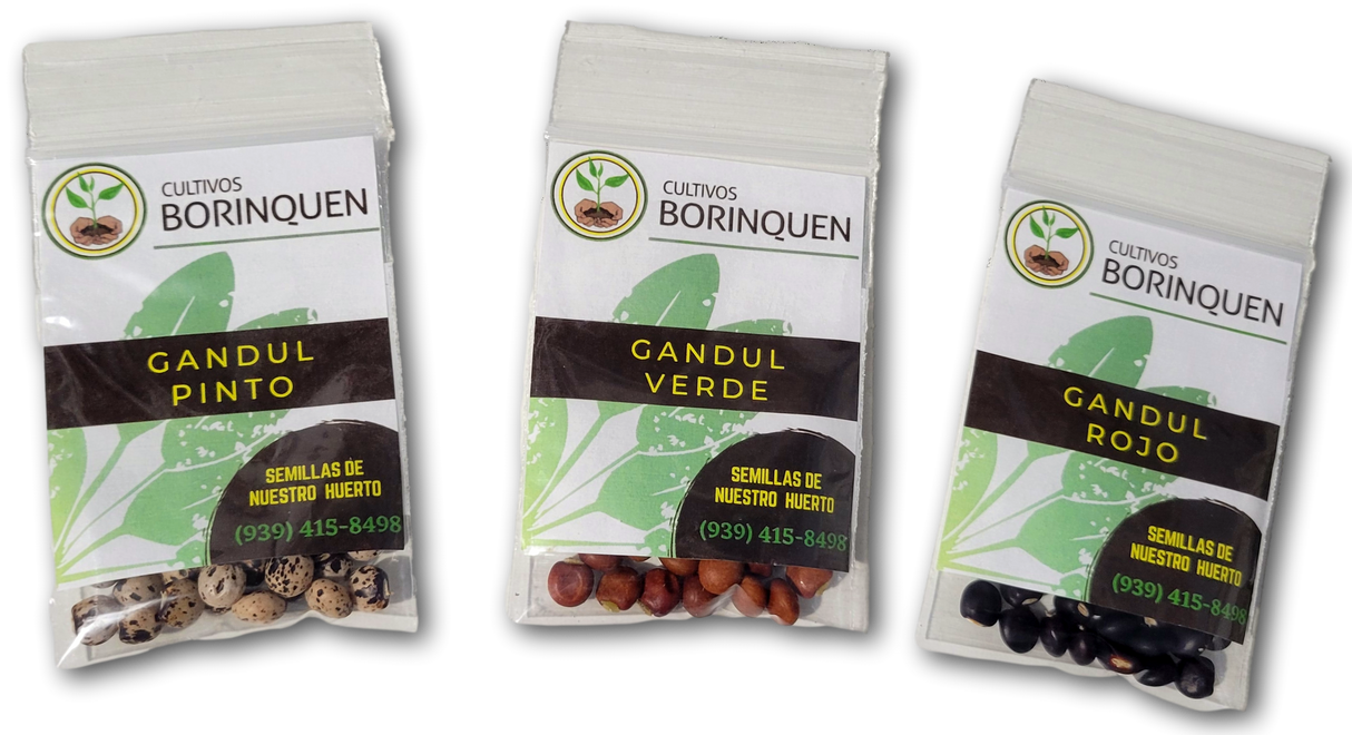 Semillas de Gandul Mixtas (Tendencia)