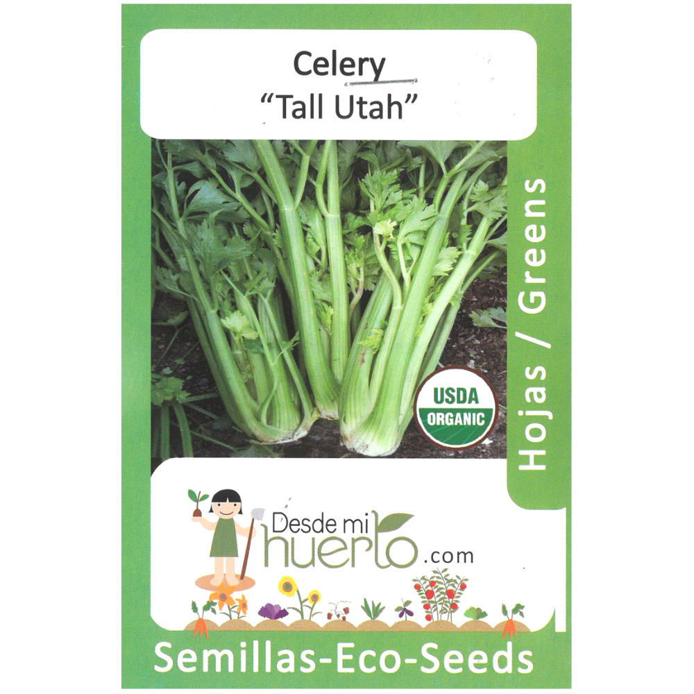 Semillas Celery ph1