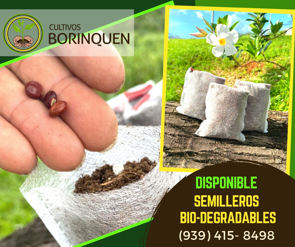 Biodegradable Germination Agricultural Bags (25 units)